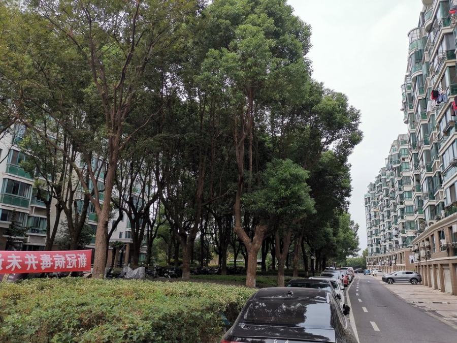 上海市青浦区金域水岸苑38栋6F 