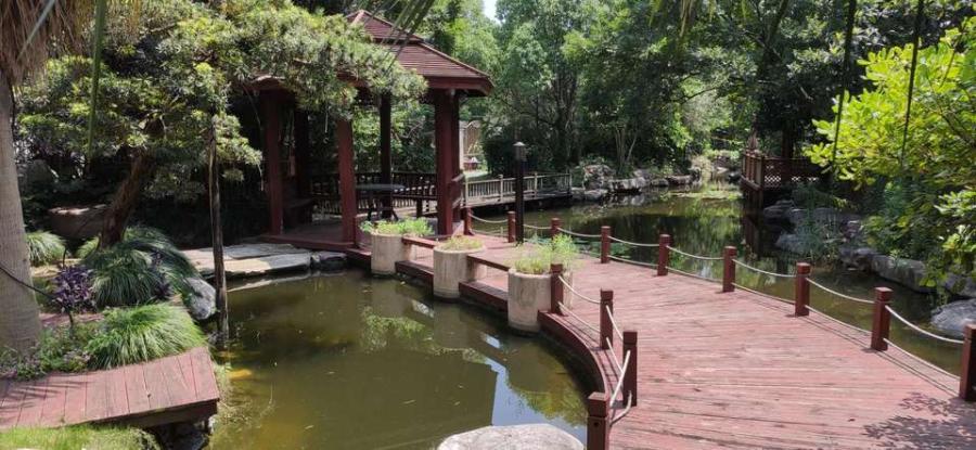 上海市闵行区湖山在望261栋 