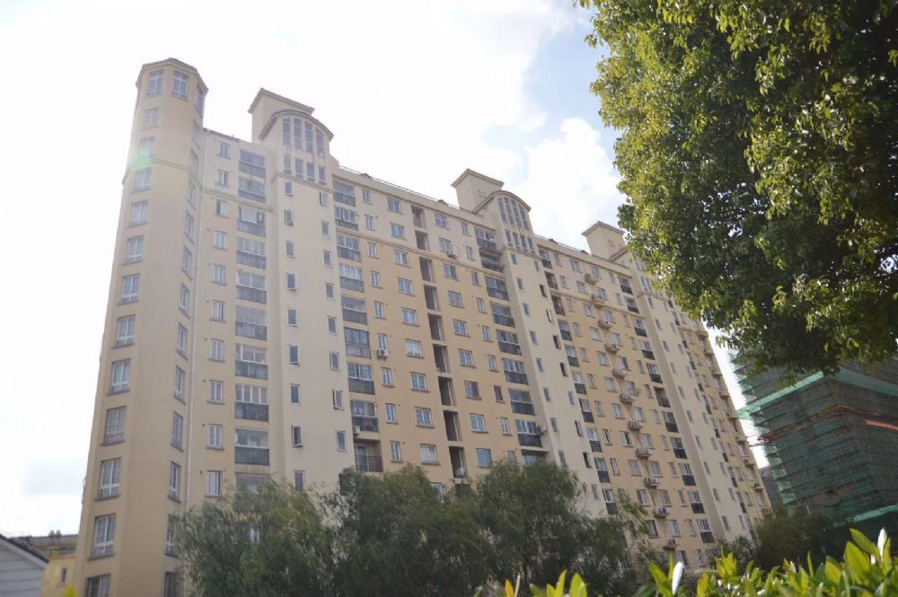 上海市闵行区碧林湾105栋4F 