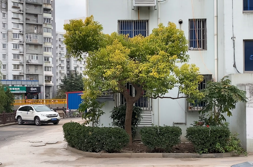 上海市浦东新区138弄小区9栋4F 