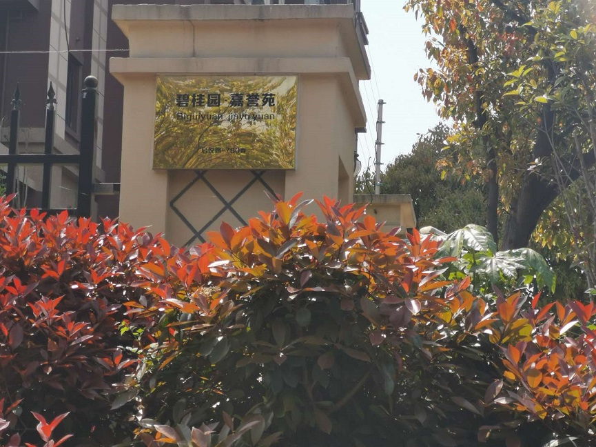 上海市嘉定区碧桂园嘉誉24栋7F 