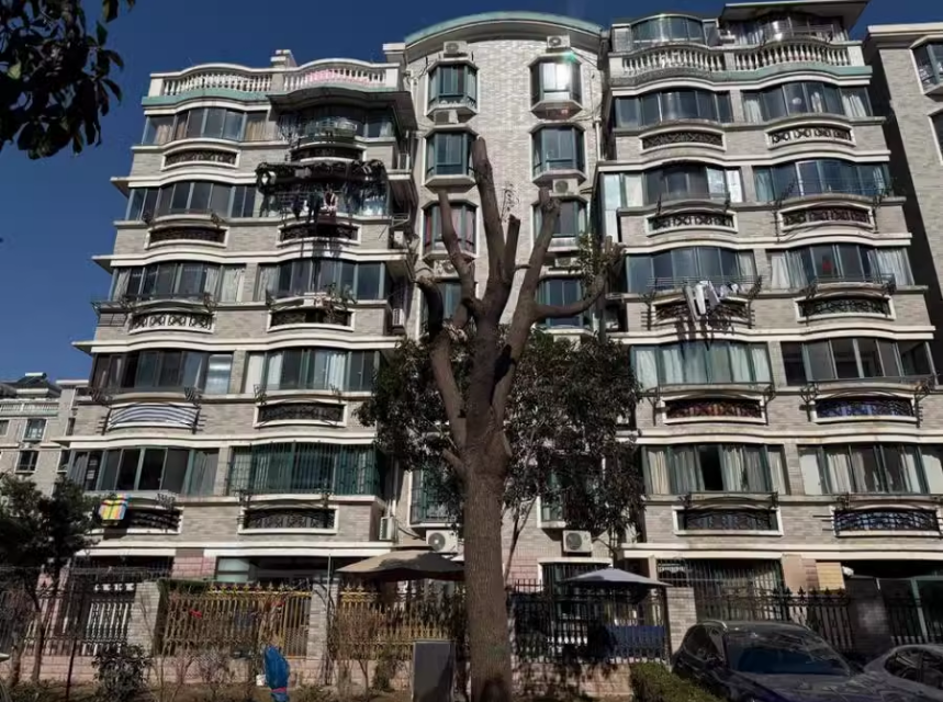 上海市宝山区昌鑫时代绿园65栋1F 