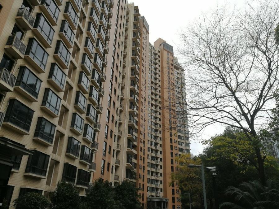 上海市黄浦区黄浦丽园7栋12F 