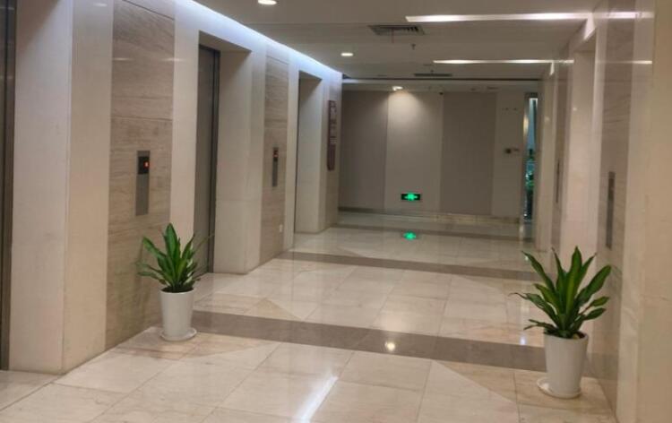 上海市杨浦区同济晶度25栋10F 