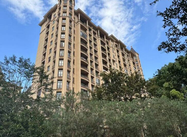 上海市浦东新区星河湾2栋17F 