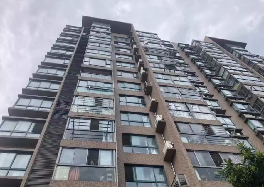 上海市松江区象屿都城35栋8F 