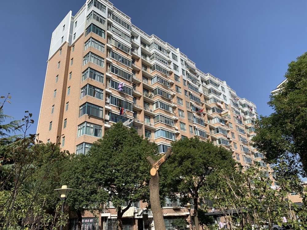 上海市金山区城西花苑57栋3F 