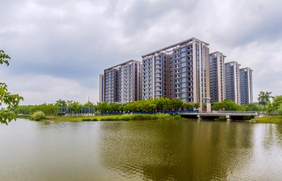 上海市嘉定区光明D9空间1栋8F 