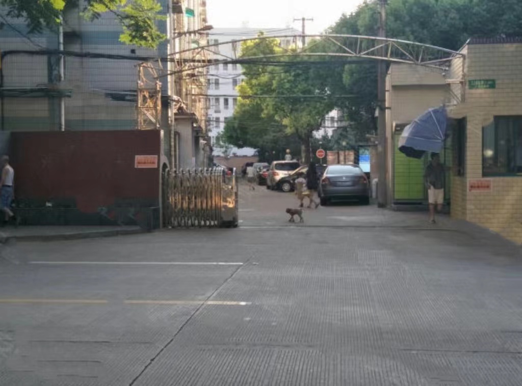 上海市徐汇区长峰小区2栋6F 