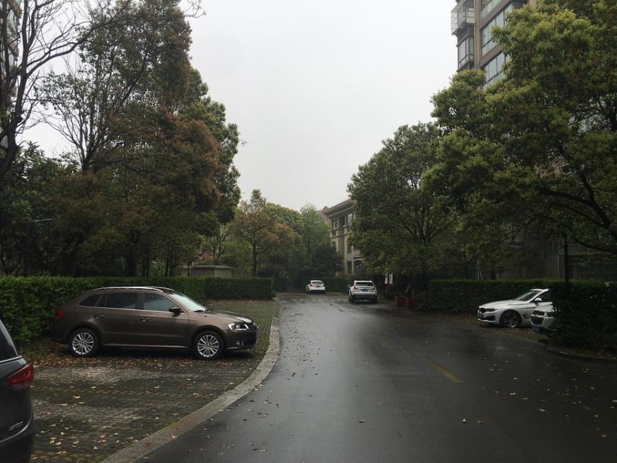 上海市浦东新区金领国际78栋5F 