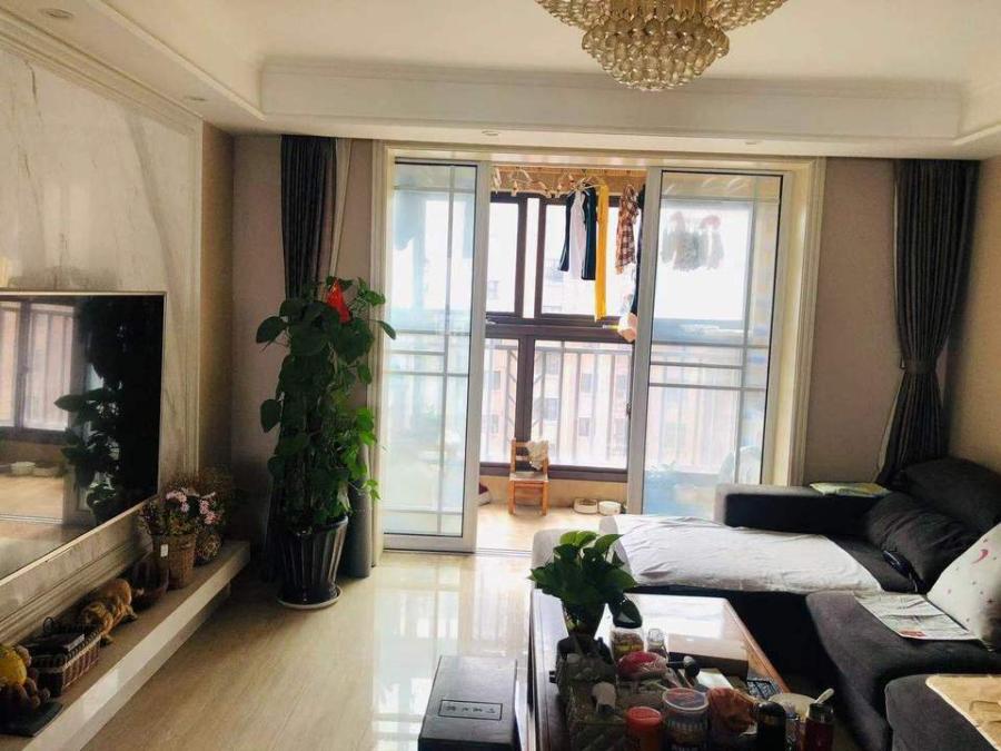 上海市宝山区中环国际公寓17栋13F 