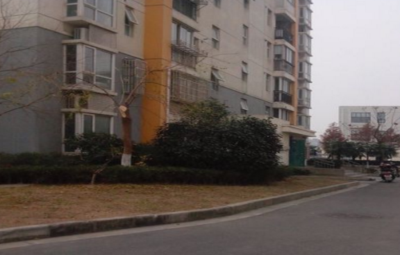 上海市闵行区滨浦新苑四村7栋6F 