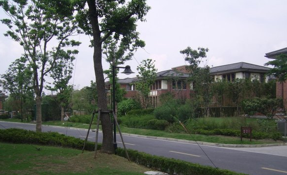 上海市青浦区观庭别墅33栋 