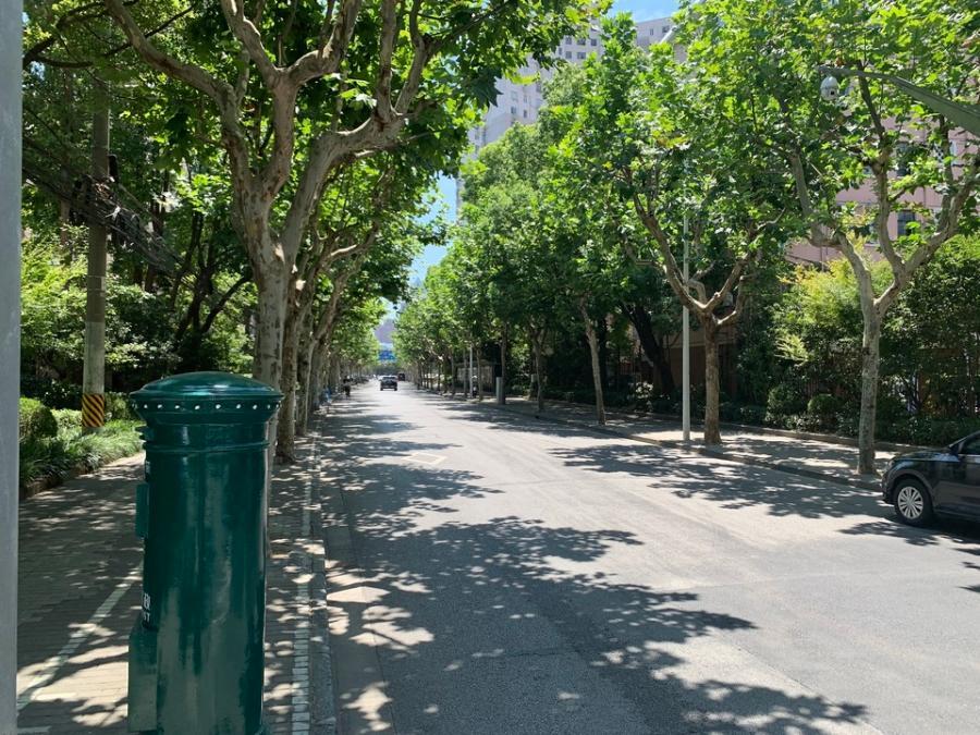 上海市浦东新区潍坊二村48栋6F 