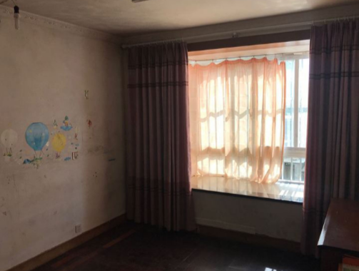 上海市金山区金来苑11栋1F 