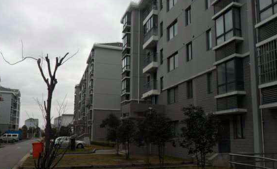 上海市浦东新区长达佳苑29栋5F 