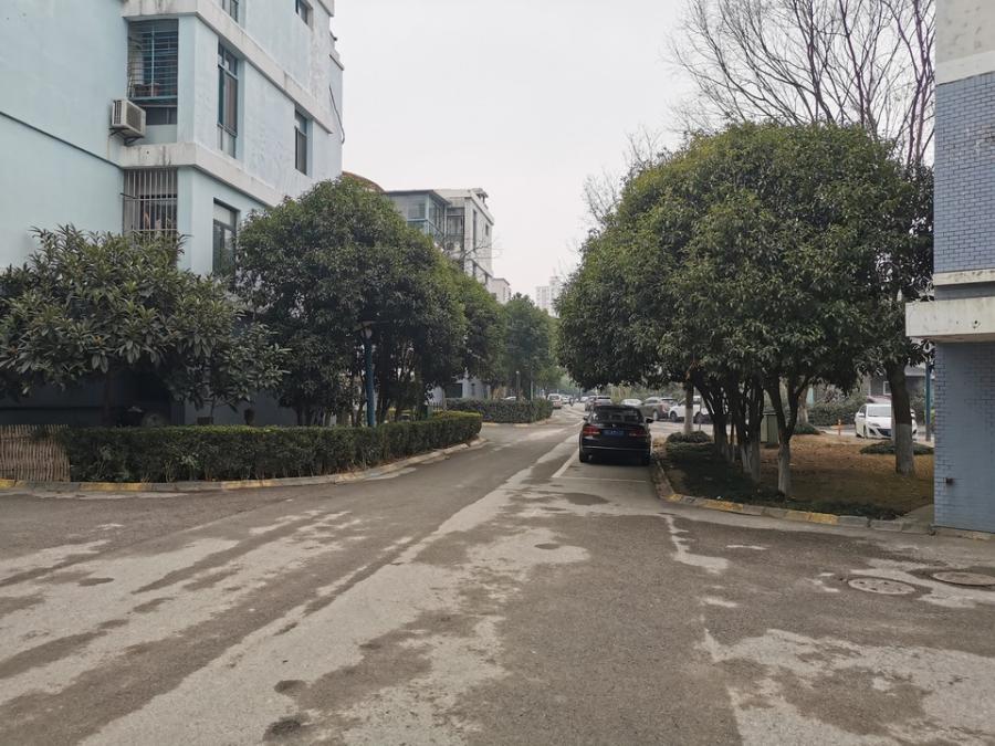 上海市松江区檀香花苑287栋3F 