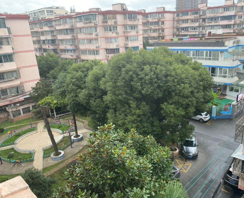 上海市虹口区福赐花苑9栋1F 