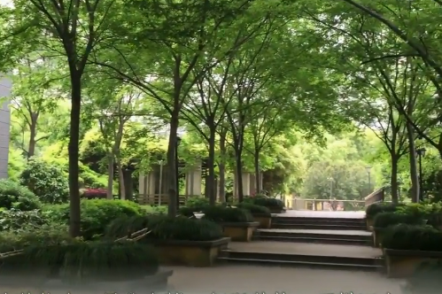 上海市宝山区三花现代城丹桂苑26栋17F 