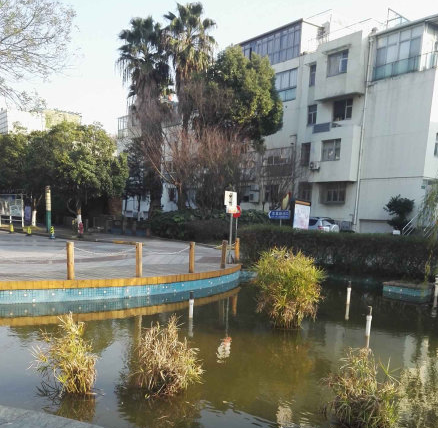 上海市闵行区和润家园123栋 