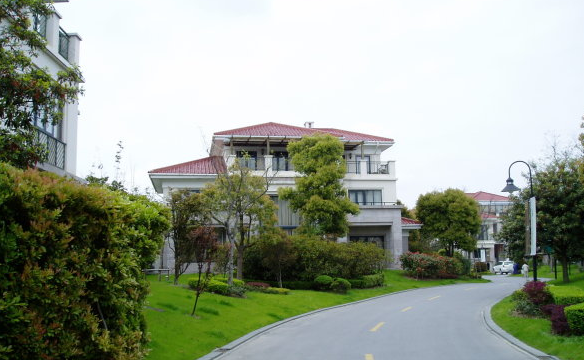 上海市浦东新区棕榈泉花园156栋 