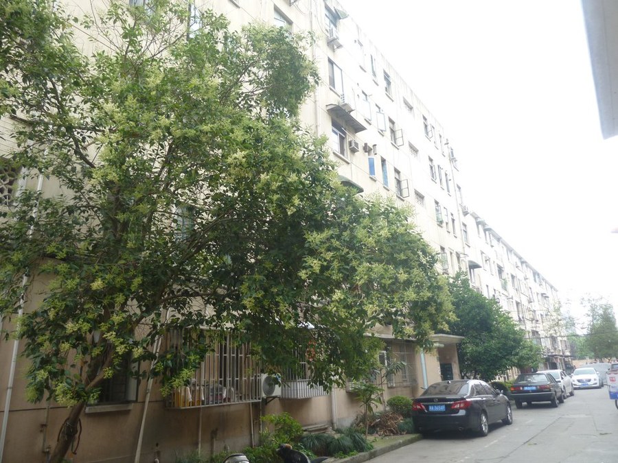 上海市宝山区848弄小区4栋4F 