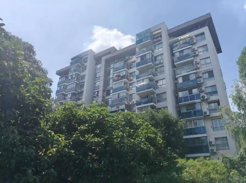 上海市闵行区银河新都16栋11F 