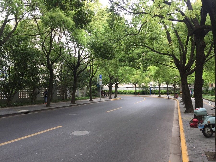 上海市宝山区宝林九村70栋6F 