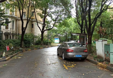 上海市徐汇区徐汇臻园206栋4F 