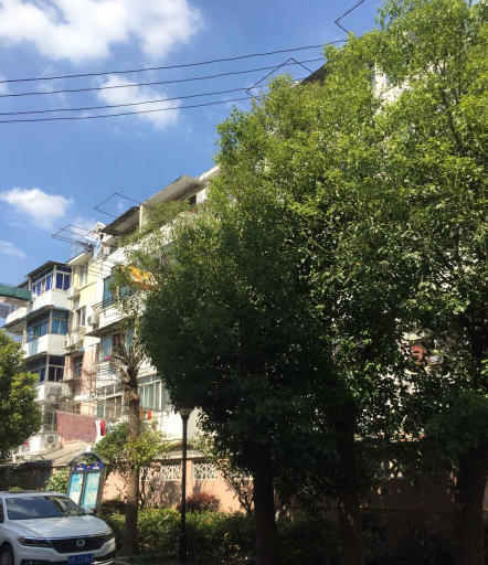 上海市浦东新区公元新村19栋1F 