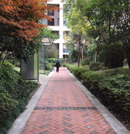 上海市嘉定区朗诗绿色街区26栋17F 