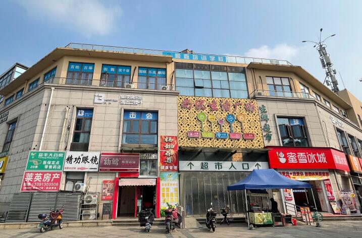 上海市嘉定区莱英北郡沿街商铺496栋1F；528栋1-2F及地下车位共17个 