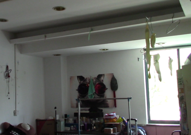 上海市浦东新区城东路商铺城东路745栋1-2F 