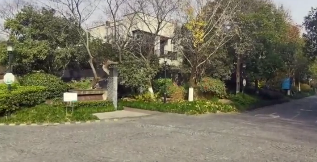 上海市嘉定区白金院邸252栋1-3F 