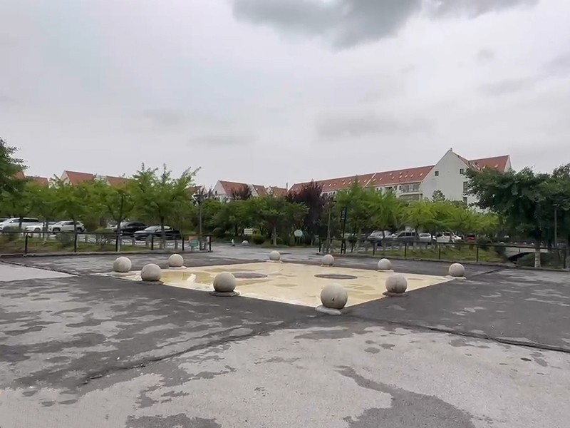 上海市嘉定区安亭新镇颂苑10栋2F 