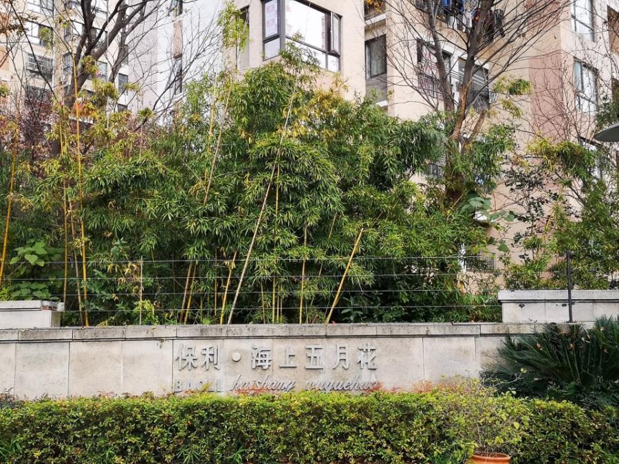 上海市嘉定区保利海上五月花54栋10F 