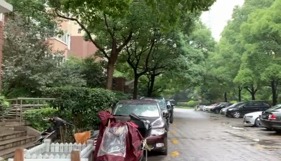 上海市徐汇区西雅图嘉萱苑16栋13F 