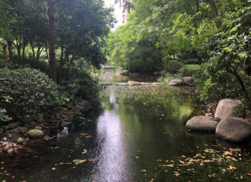 上海市浦东新区海富城市花园36栋2F 