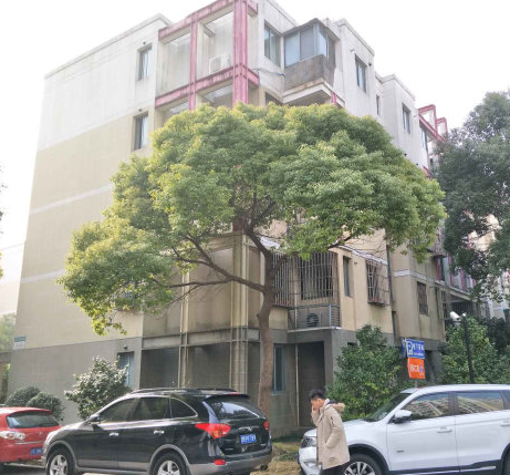 上海市闵行区世博家园二街坊35栋3F 