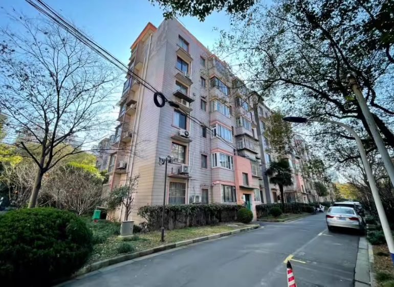 上海市闵行区华梅花苑98栋6F 