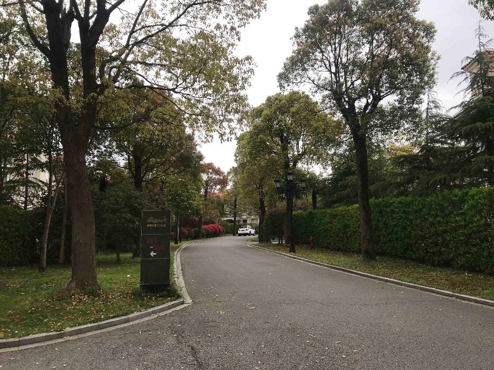 上海市奉贤区棕榈滩高尔夫别墅奉贤304栋 