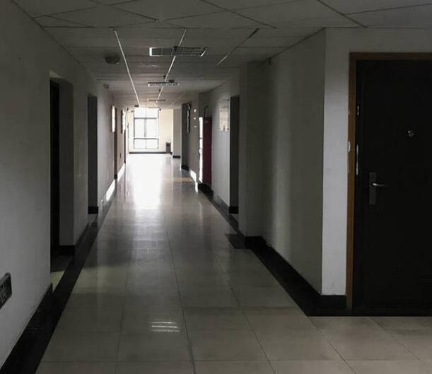 上海市松江区古树园商务楼229栋4F 