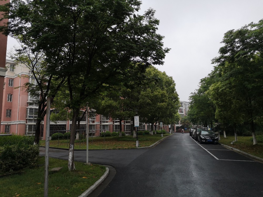 上海市嘉定区外冈新苑70栋5F 