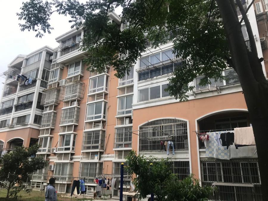 上海市嘉定区外冈新苑31栋5F 