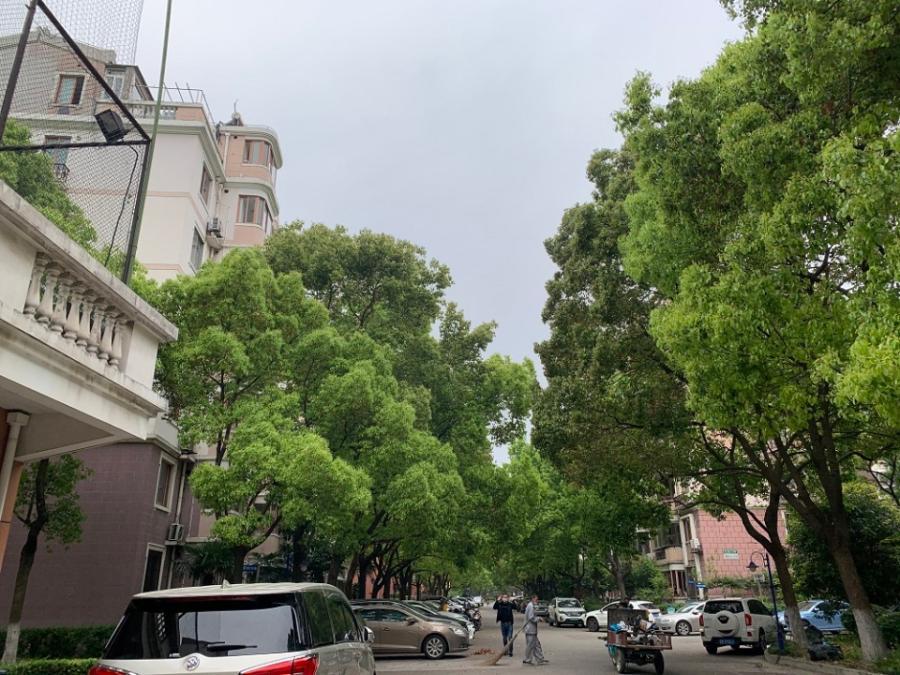 上海市普陀区祥和家园22栋5F 