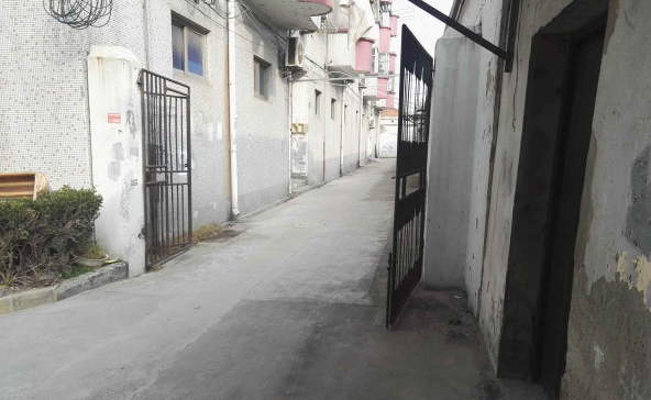 上海市浦东新区95弄小区19栋2F 