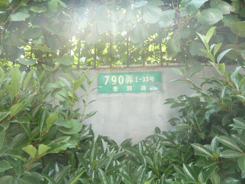 上海市虹口区790弄小区33栋3F 