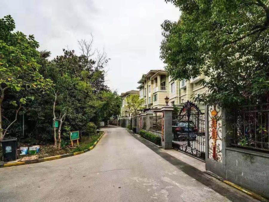 上海市松江区嘉富丽花园九亭镇115栋 