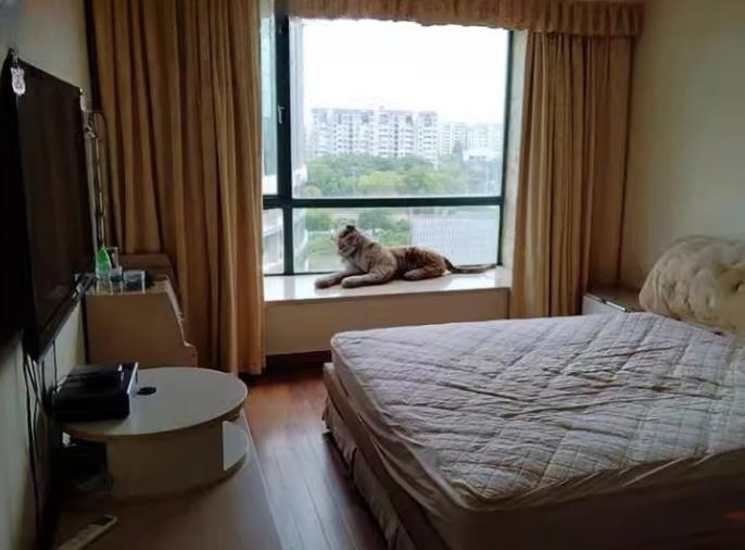 上海市闵行区金汇丽舍2栋9F 