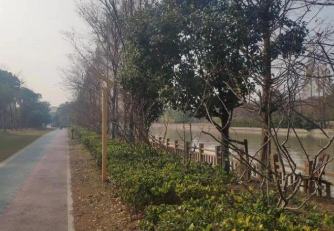 上海市浦东新区绿川新苑15栋4F 